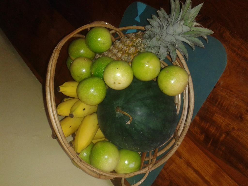 Yoho Mango House Hotel Negombo Exterior foto